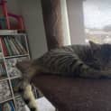 Photo of Minnie