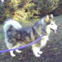 Photo of Betsy