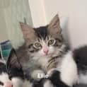 Photo of Ellie