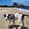 Photo of Athens