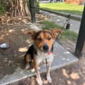 Photo of Whiskey
