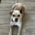 Photo of Skittles