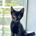Photo of Taco