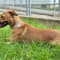 Photo of Zumi