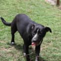 Photo of Joyce