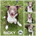 Photo of Ricky 
