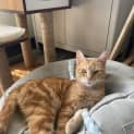Photo of Sugar