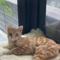 Photo of Poppi