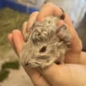 Photo of Spud