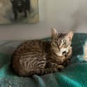 Photo of Squeak