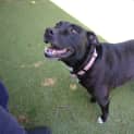 Photo of Missy