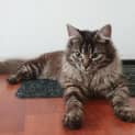 Photo of Oona