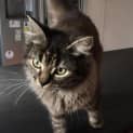 Photo of Oona