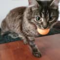 Photo of Oona
