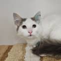 Photo of Gwendolyn