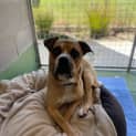 Photo of Bert