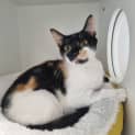 Photo of Lulu