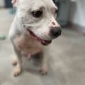 Photo of Tofu