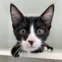 Photo of Taco