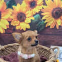 Photo of Mimi