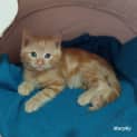 Photo of Murphy