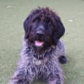 Photo of Murphy