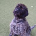 Photo of Murphy