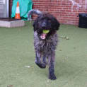 Photo of Murphy