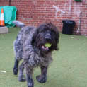 Photo of Murphy