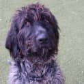 Photo of Murphy