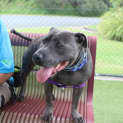 Photo of Mack