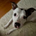 Photo of Essie