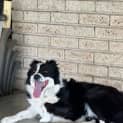 Photo of Rj