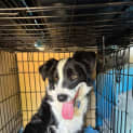 Photo of Rj