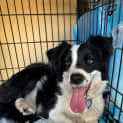 Photo of Rj
