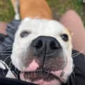 Photo of Bullseye