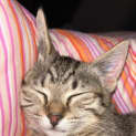 Photo of Brooke
