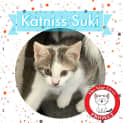 Photo of Katniss Suki *9 Lives Project Rescue*