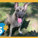 Photo of Zues