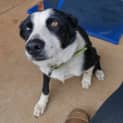 Photo of Skye