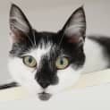 Photo of Mari