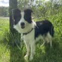 Photo of Cassie