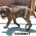Photo of Grommet And Wallace