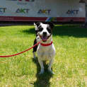 Photo of Shilo