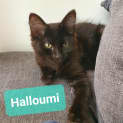 Photo of Kiyo