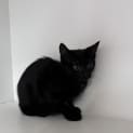 Photo of Merry