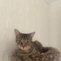 Photo of Tilly