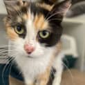 Photo of Emmy