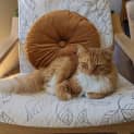 Photo of Maxie