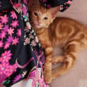 Photo of Hattie
